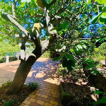 Villa Saint Clair Avec Piscine