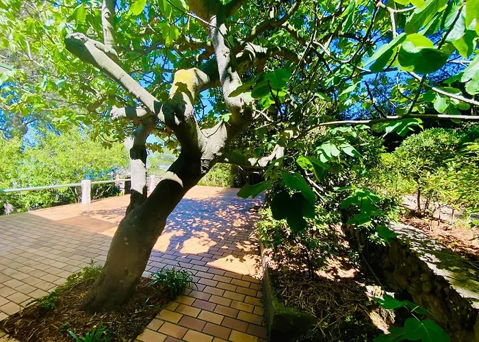 ヴィラ Saint Clair Avec Piscine